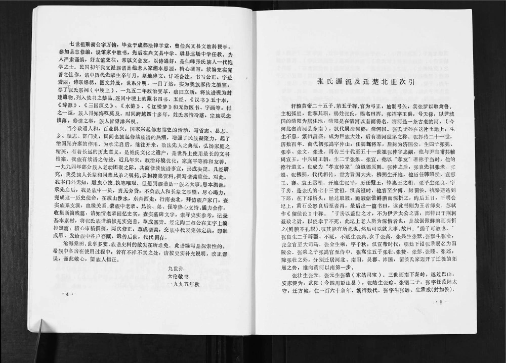 图片[4]-四川宜宾兴文县张氏族谱电子版PDF下载-中华家谱网