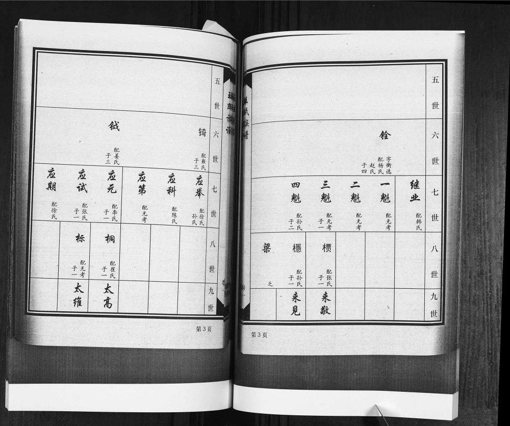 图片[7]-山东平度堐头王氏族谱电子版PDF下载-中华家谱网