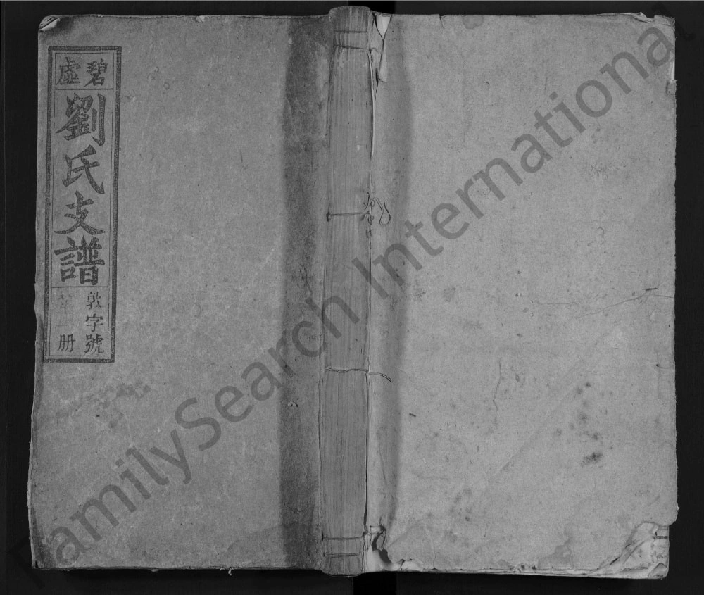 图片[1]-安徽安庆怀宁碧虚刘氏七修支谱（谊美堂）电子版PDF下载-中华家谱网