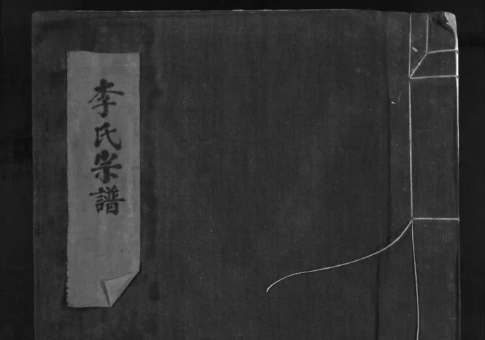 浙江乐清李氏宗谱大三房翔金垟派电子版PDF下载-中华家谱网