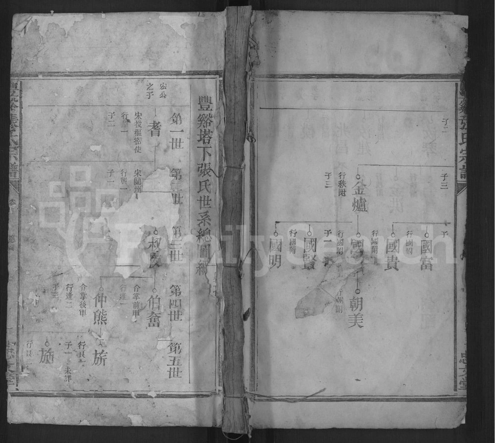 图片[3]-江西上饶广丰区丰溪塔下张氏宗谱（忠文堂）电子版PDF下载-中华家谱网