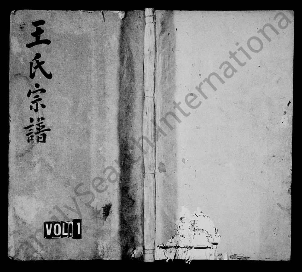 图片[1]-湖南益阳王氏四修宗谱电子版PDF下载-中华家谱网