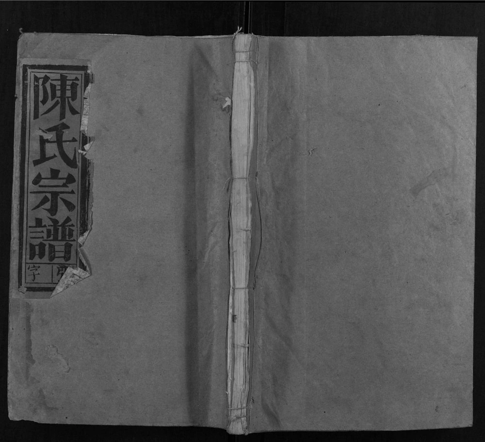 图片[1]-安徽安庆宿松县陈氏宗谱（德星堂）电子版PDF下载-中华家谱网
