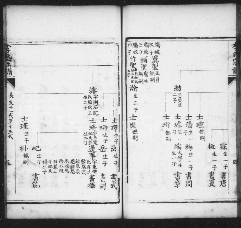 图片[8]-山东聊城阳谷县李氏家谱（世恩堂）电子版PDF下载-中华家谱网