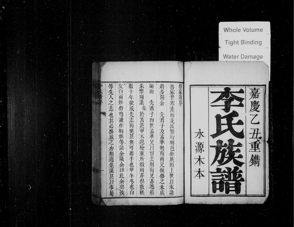 图片[2]-山东莱阳庄子村李氏族谱电子版PDF下载-中华家谱网