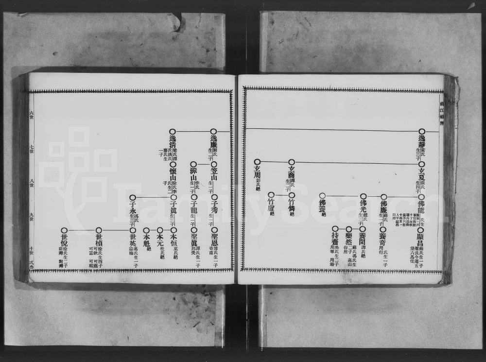 图片[8]-广东台山汶村陈氏恺翁十世孙复新祖房之家谱电子版PDF下载-中华家谱网