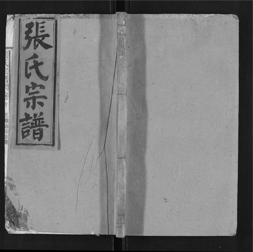 图片[1]-安徽安庆宿松张氏宗谱电子版PDF下载-中华家谱网