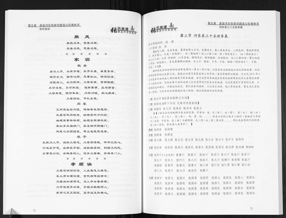 图片[8]-四川达州渠县张氏族谱电子版PDF下载-中华家谱网