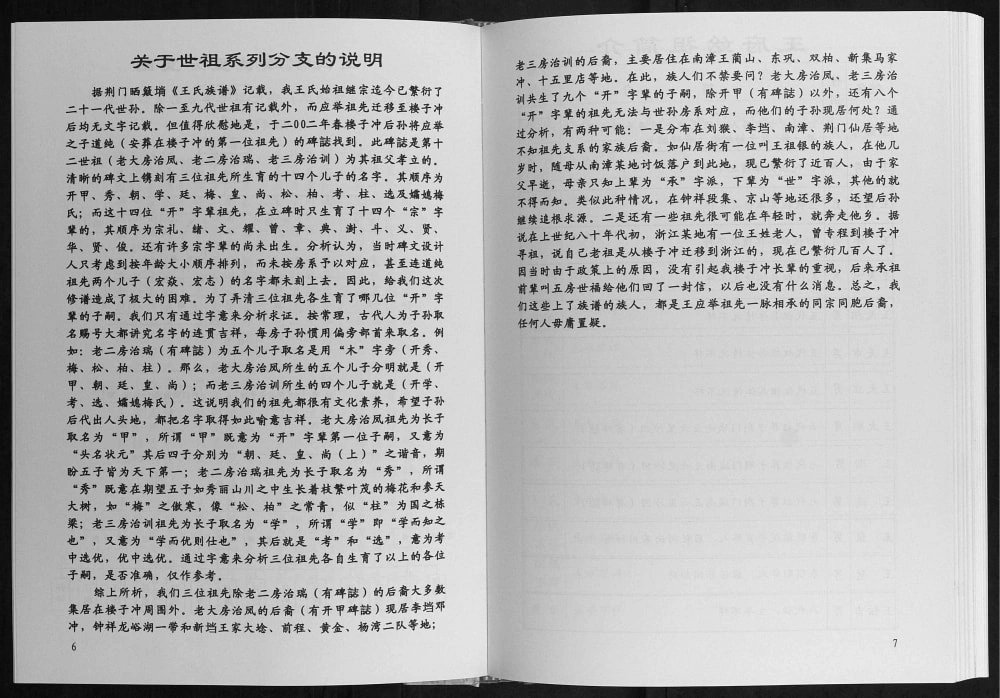 图片[3]-湖北宜城王氏族谱（三槐堂）电子版PDF下载-中华家谱网
