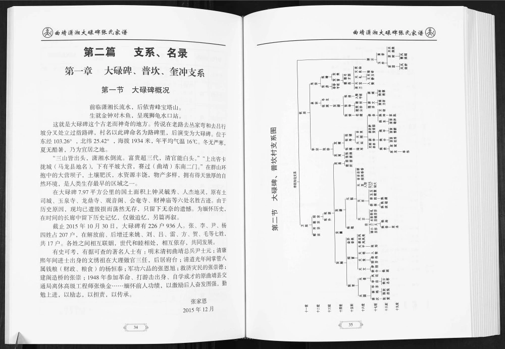 图片[4]-云南曲靖潇湘大碌碑张氏家谱电子版PDF下载-中华家谱网