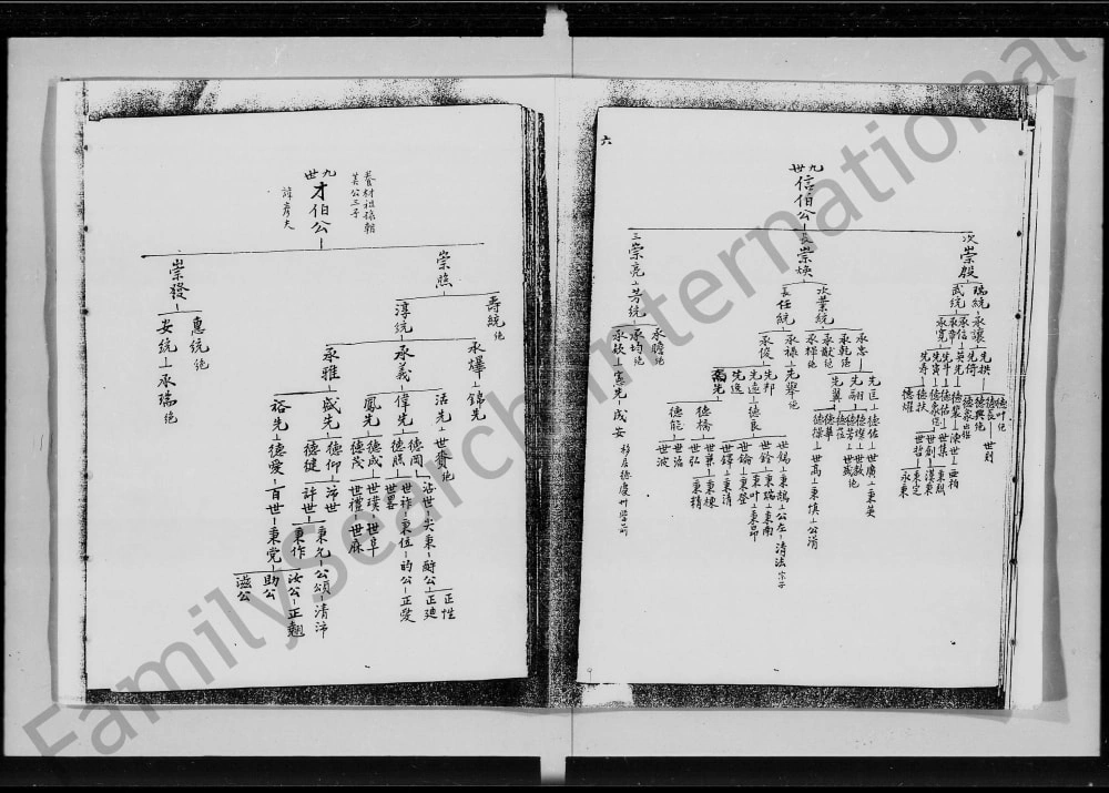 图片[8]-广东佛山张氏家谱（志安堂）电子版PDF下载-中华家谱网