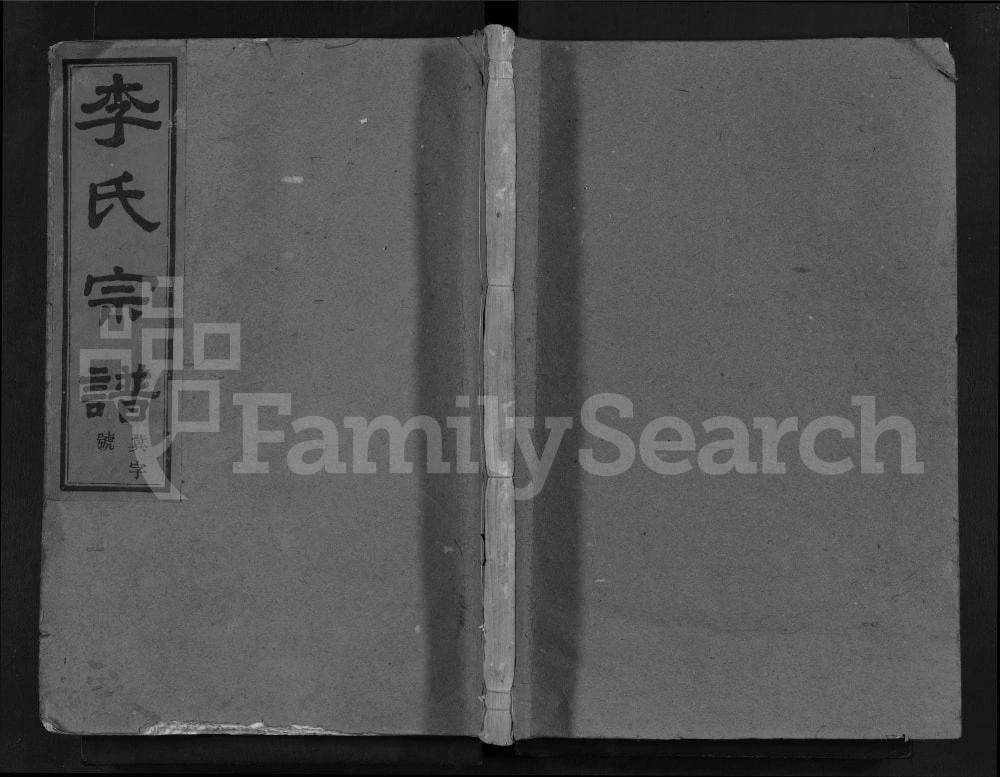图片[1]-浙江嵊州彩染李氏宗谱（萃涣堂）电子版PDF下载-中华家谱网
