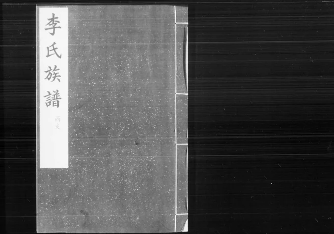 河北泊头李氏族谱(睦族堂)电子版PDF下载-中华家谱网