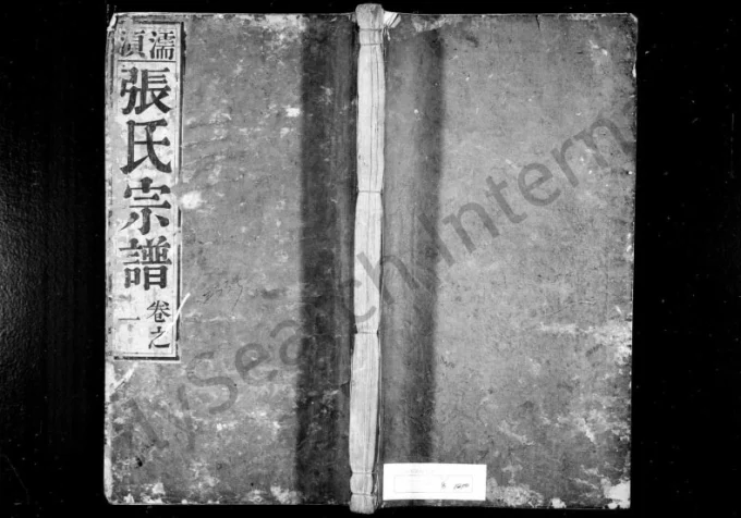 安徽无为濡须张氏宗谱电子版PDF下载-中华家谱网