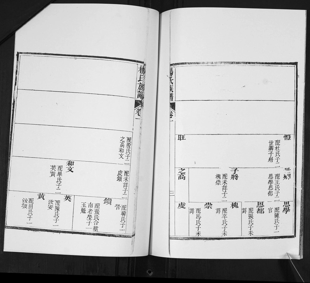 图片[6]-山东青岛即墨栲栳村杨氏族谱电子版PDF下载-中华家谱网