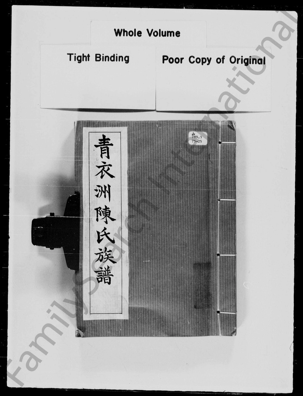 图片[1]-香港青衣洲陈氏族谱电子版PDF下载-中华家谱网