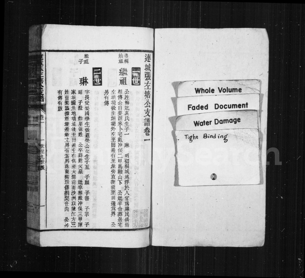 图片[5]-安徽铜陵枞阳连城张左塘公支谱电子版PDF下载-中华家谱网