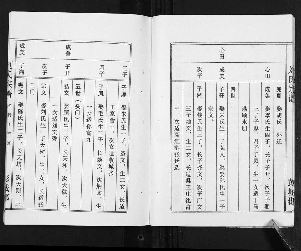 图片[7]-江苏盐城建湖县刘氏宗谱（青藜堂）电子版PDF下载-中华家谱网