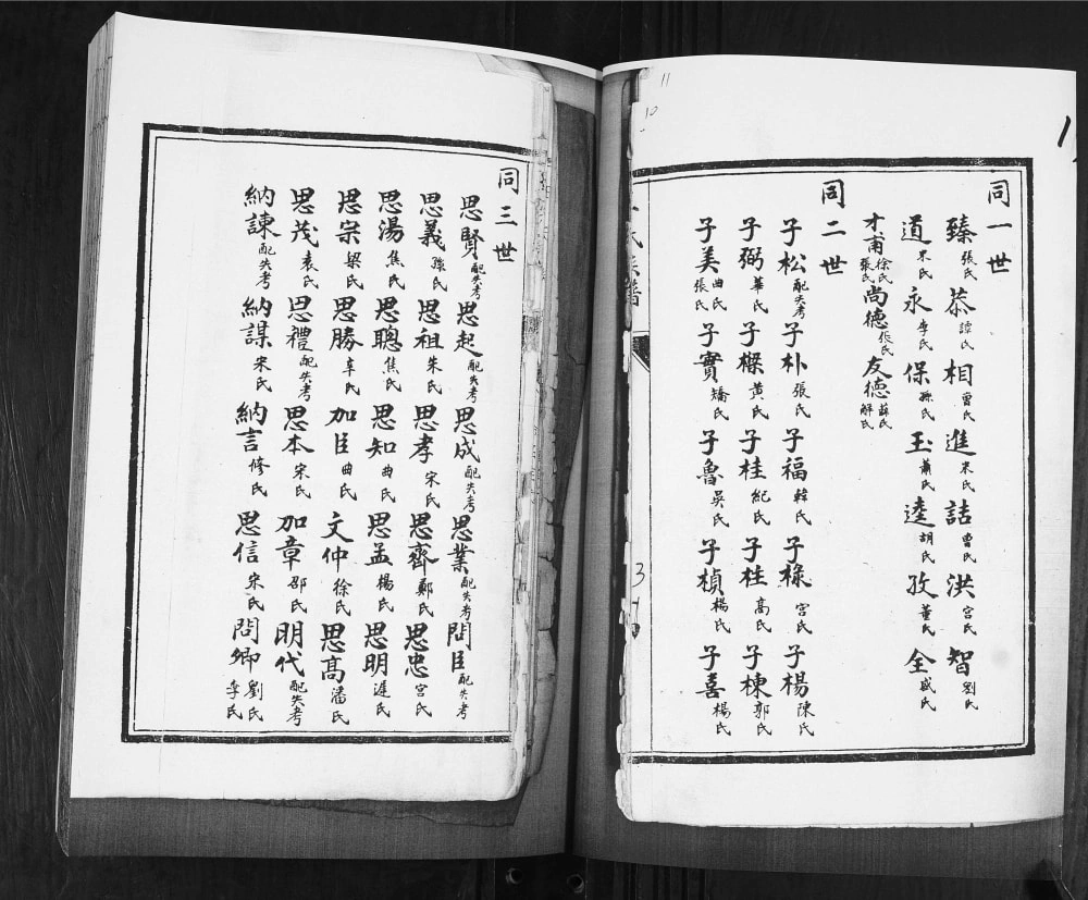 图片[5]-山东青岛即墨王氏族谱（永思堂）电子版PDF下载-中华家谱网