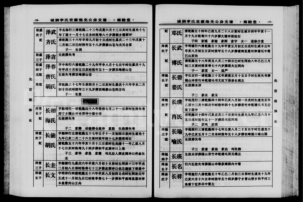 图片[8]-湖南宁乡城涧李氏世馥维先公房支谱（雍睦堂）电子版PDF下载-中华家谱网