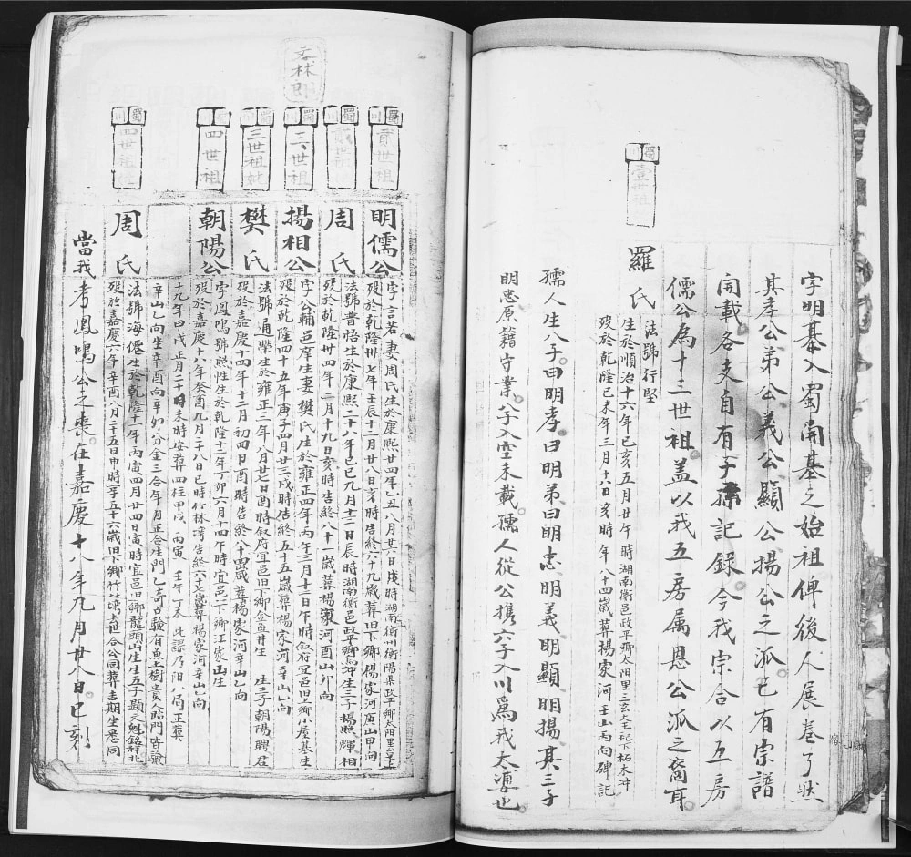 图片[7]-四川宜宾翠屏区张氏家谱湖南衡阳仁恩公入川分谱（清河堂）电子版PDF下载-中华家谱网
