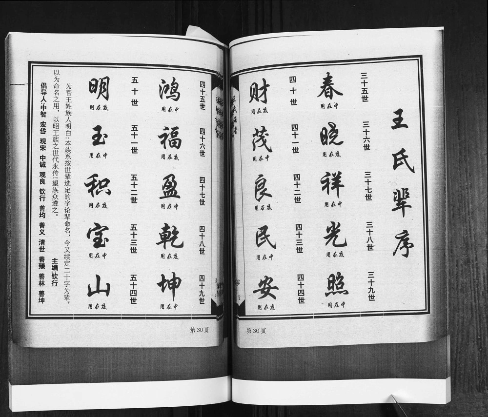 图片[4]-山东平度堐头王氏族谱电子版PDF下载-中华家谱网