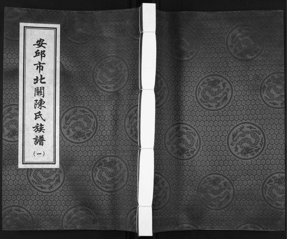 图片[1]-山东安丘市北关陈氏族谱（光远堂）电子版PDF下载-中华家谱网