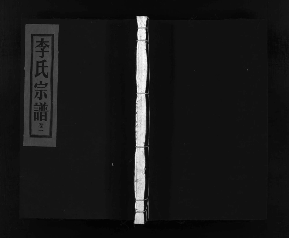 图片[1]-浙江乐清西洙李氏宗谱电子版PDF下载-中华家谱网