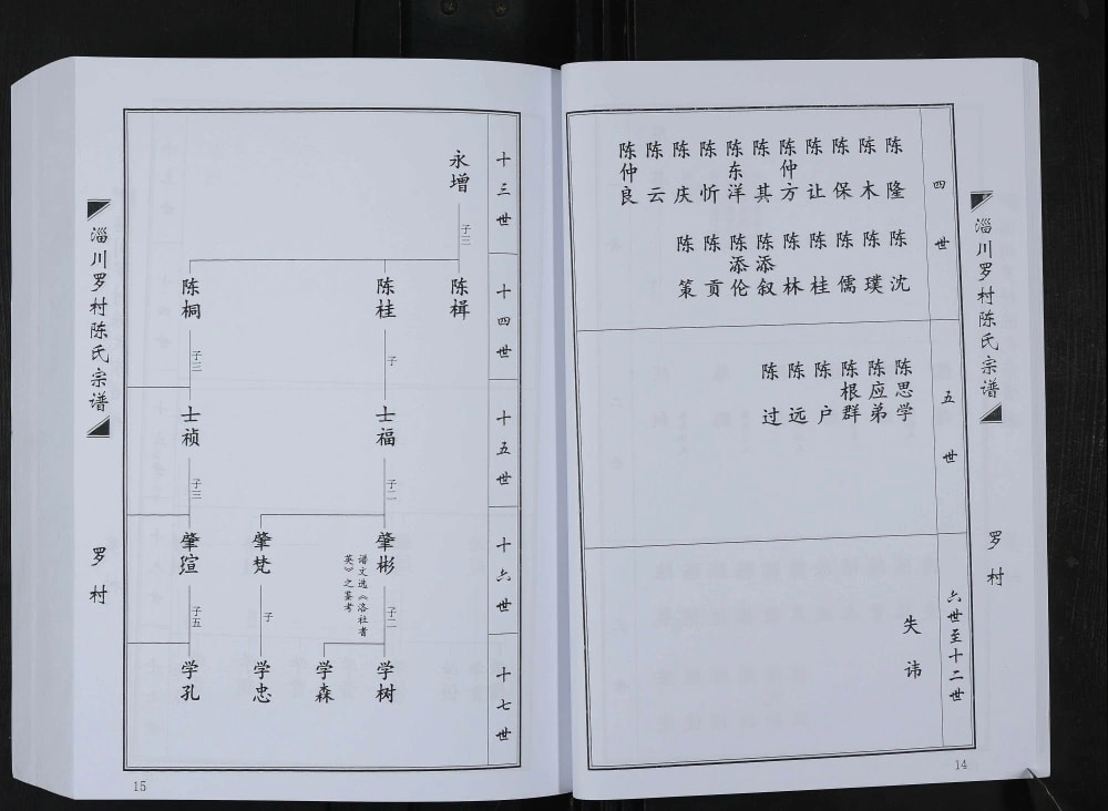 图片[5]-山东淄博淄川罗村陈氏宗谱电子版PDF下载-中华家谱网