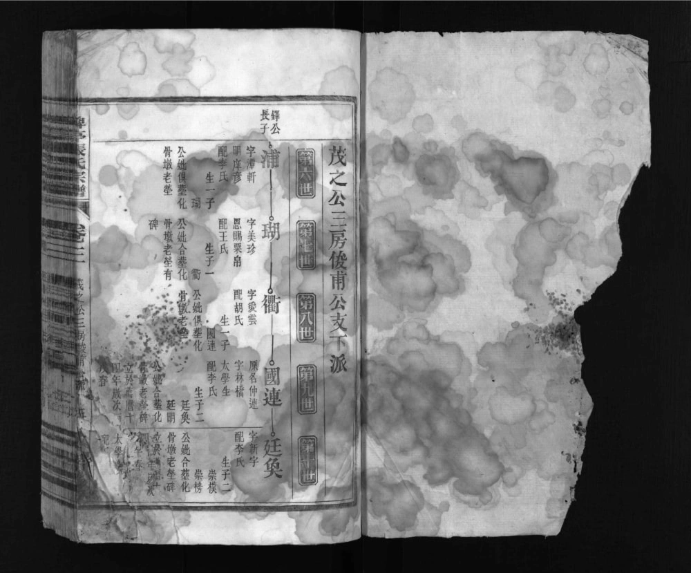 图片[7]-安徽马鞍山含山县碑亭张氏宗谱（文器堂）电子版PDF下载-中华家谱网