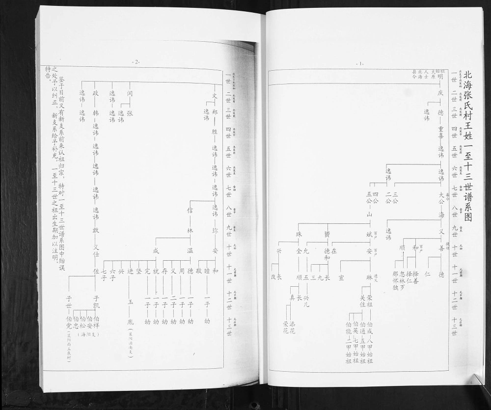 图片[3]-山东潍坊寒亭北海张氏村王氏族谱电子版PDF下载-中华家谱网