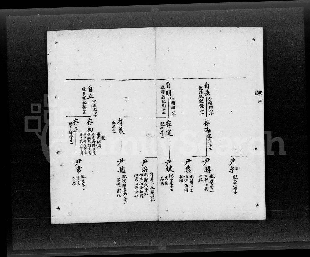 图片[4]-广东鹤山古博陈氏族谱电子版PDF下载-中华家谱网