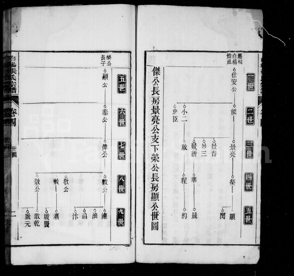 图片[4]-安徽桐城皖桐张氏宗谱（树德堂）电子版PDF下载-中华家谱网