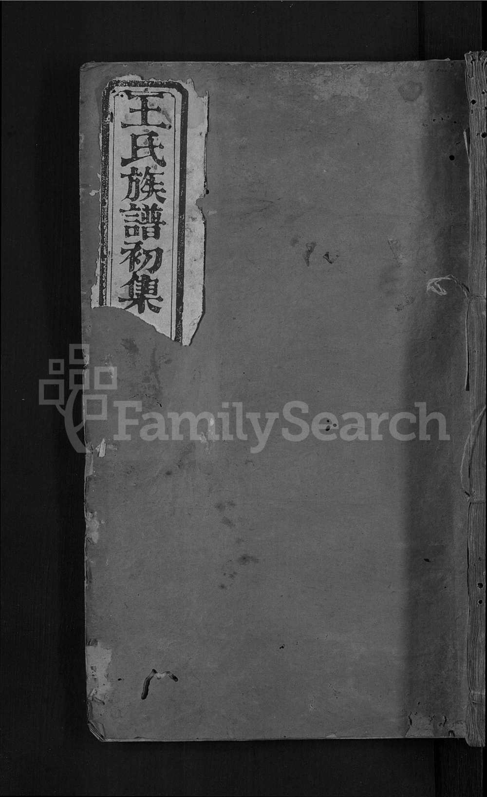 图片[1]-湖北石首王氏贯珠家谱电子版PDF下载-中华家谱网