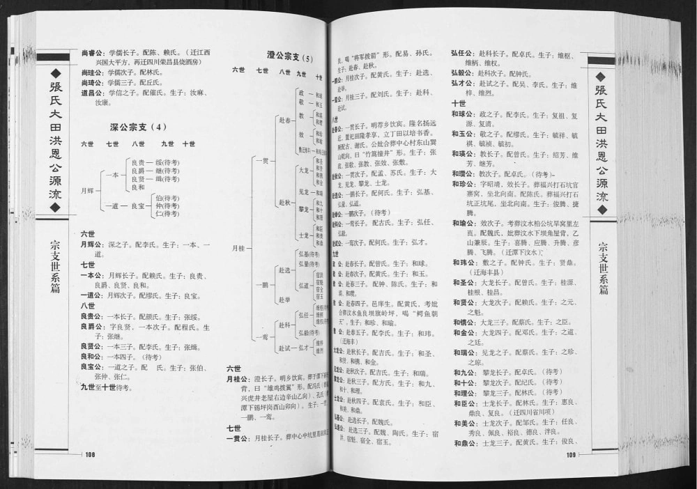 图片[8]-贵州毕节纳雍县张氏大田洪恩公源流电子版PDF下载-中华家谱网