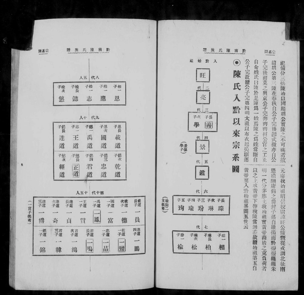 图片[4]-贵州安顺平坝黔南陈氏族谱电子版PDF下载-中华家谱网