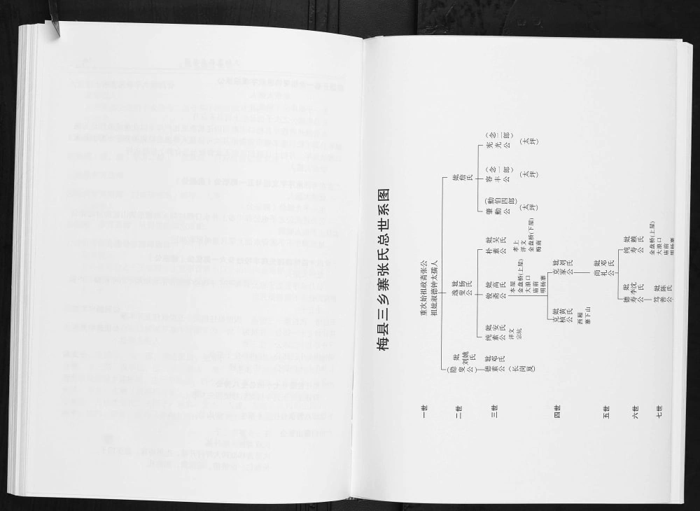图片[4]-广东梅州梅江区城北三乡寨张氏族谱电子版PDF下载-中华家谱网