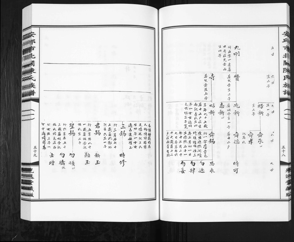 图片[8]-山东安丘市北关陈氏族谱（光远堂）电子版PDF下载-中华家谱网