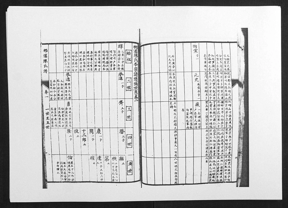 图片[3]-江西吉安泰和柳溪陈氏族谱电子版PDF下载-中华家谱网