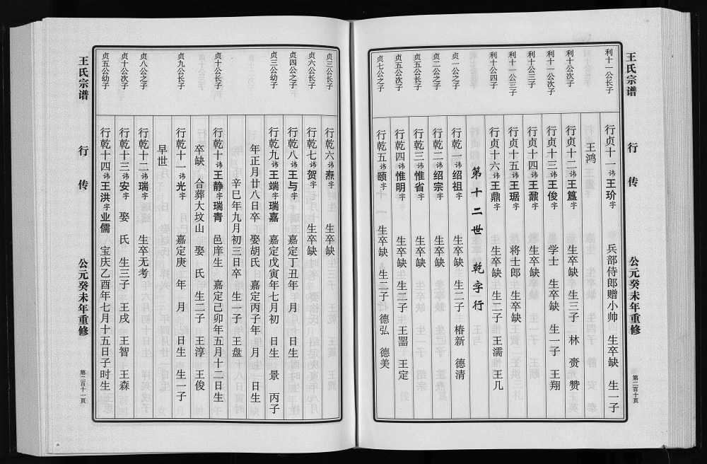 图片[8]-浙江永康大塘王王氏宗谱电子版PDF下载-中华家谱网