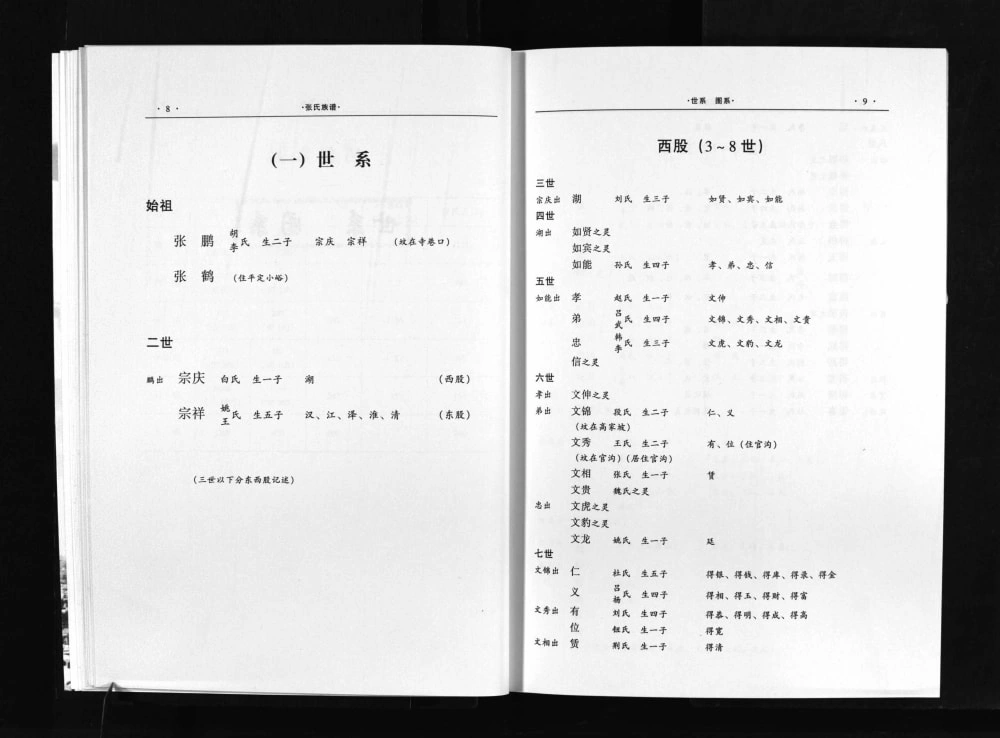 图片[5]-山西阳泉赛鱼张氏族谱电子版PDF下载-中华家谱网