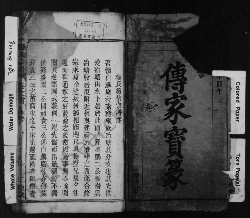 图片[2]-安徽安庆怀宁县杨氏宗谱（三鳣堂）电子版PDF下载-中华家谱网