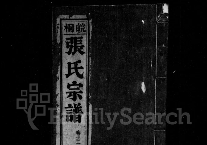 安徽桐城皖桐张氏宗谱（树德堂）电子版PDF下载-中华家谱网