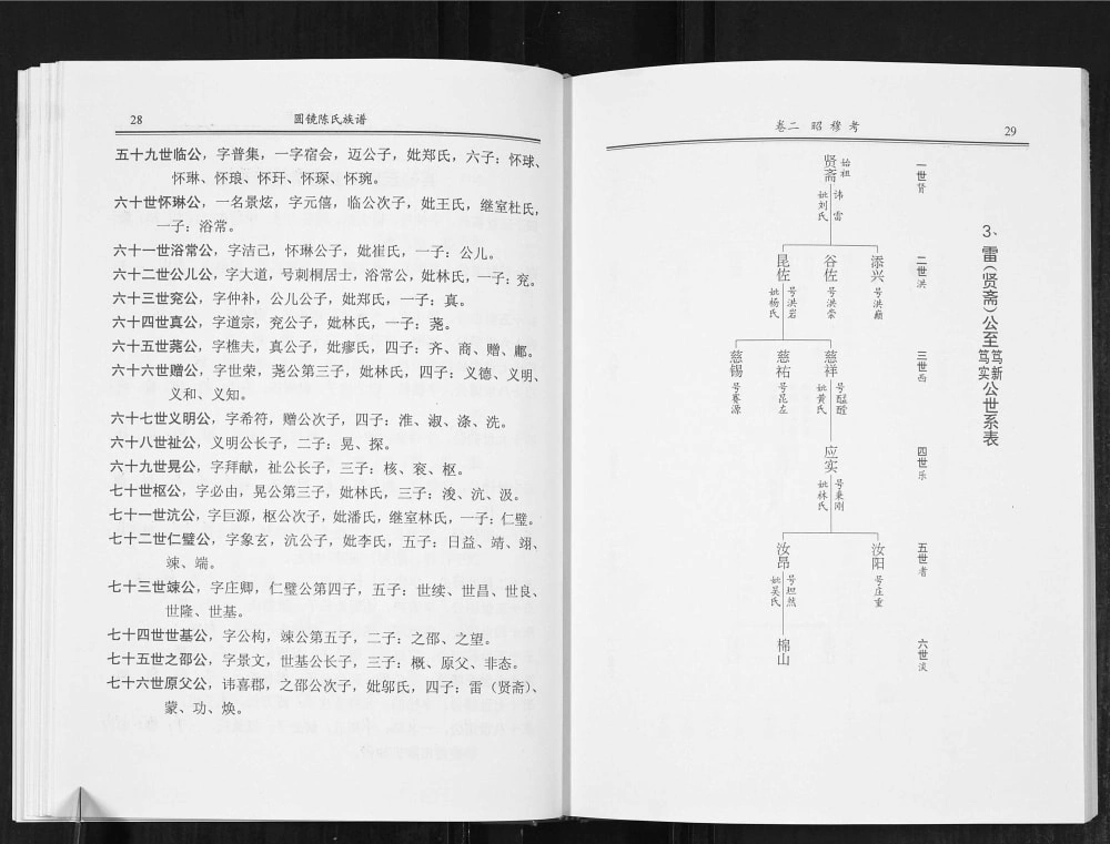 图片[5]-广东普宁圆镜陈氏族谱电子版PDF下载-中华家谱网