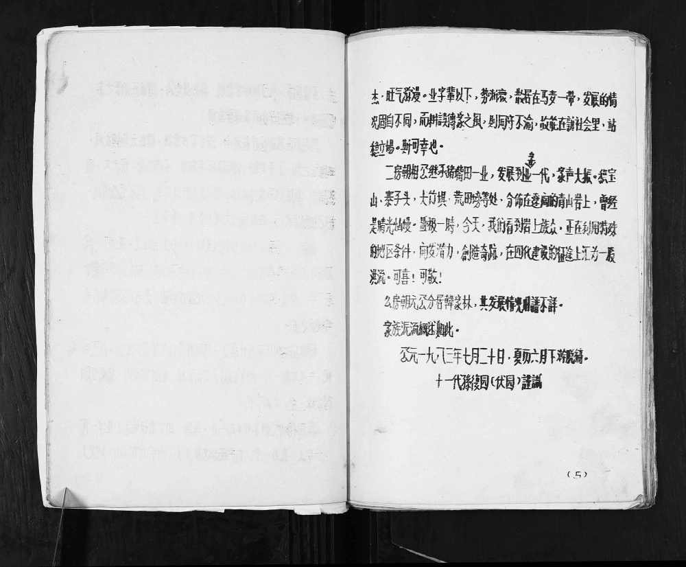 图片[6]-四川广安张氏家谱电子版PDF下载-中华家谱网