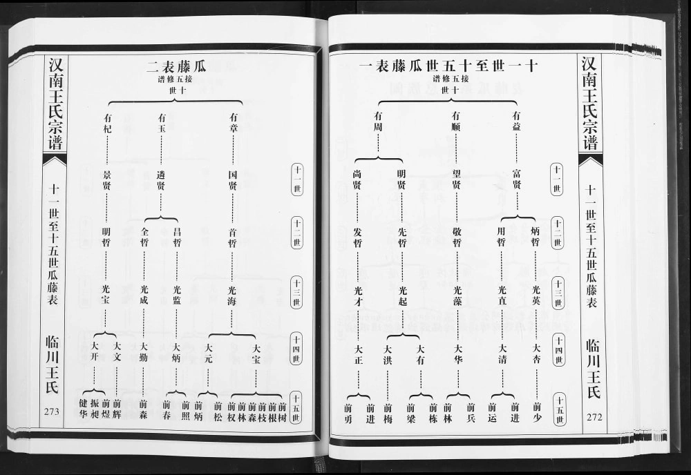 图片[8]-湖北武汉汉南王氏宗谱电子版PDF下载-中华家谱网