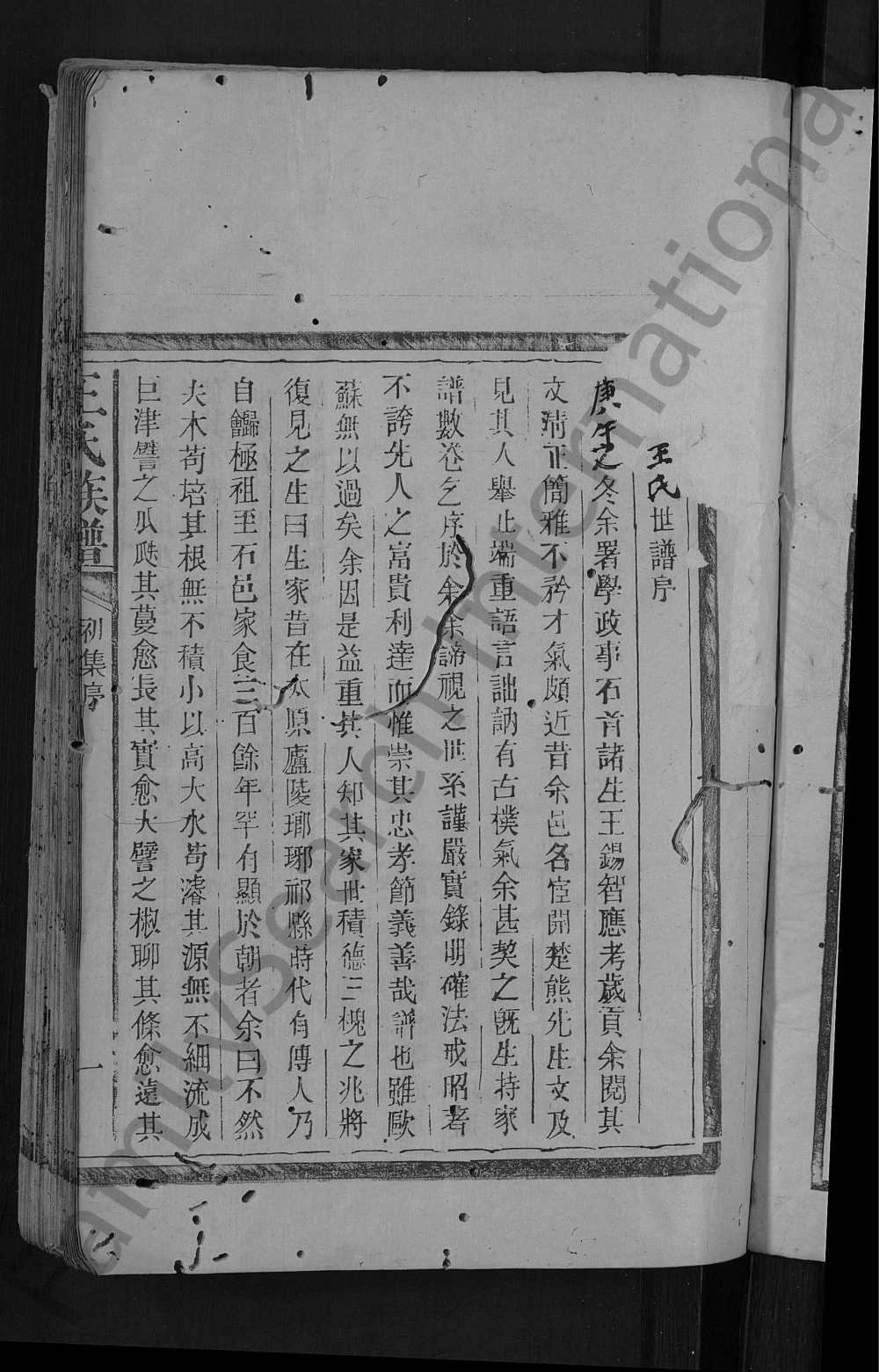 图片[3]-湖北石首王氏贯珠家谱电子版PDF下载-中华家谱网