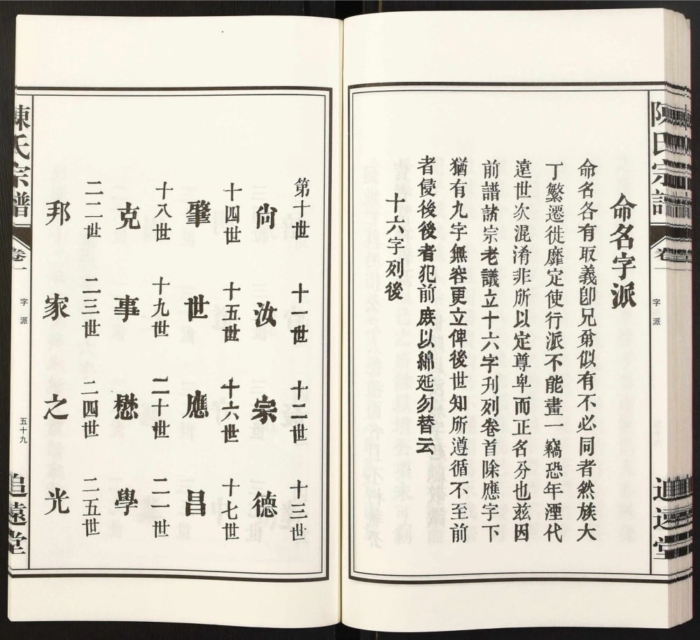 图片[3]-安徽合肥肥东县陈氏宗谱（追远堂）电子版PDF下载-中华家谱网