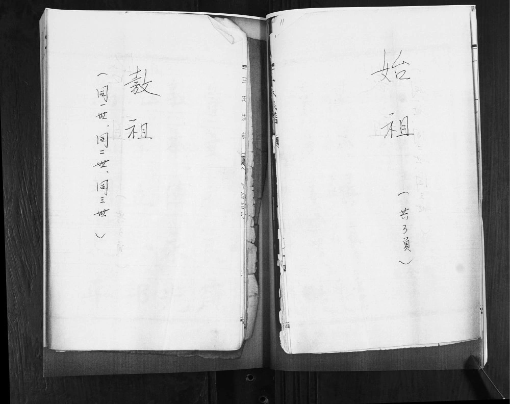 图片[4]-山东青岛即墨王氏族谱（永思堂）电子版PDF下载-中华家谱网