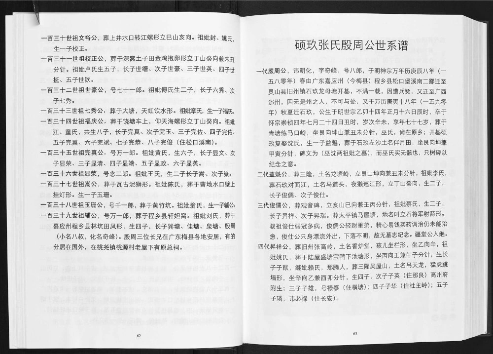 图片[4]-广西钦州灵山县硕玖张氏族谱电子版PDF下载-中华家谱网
